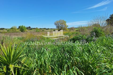 Villa i Alghero, Sassari, Alghero - € 180.000 | Ref: ALG105 - foto 21