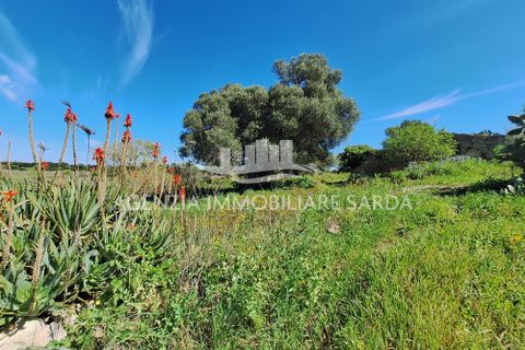 Villa i Alghero, Sassari, Alghero - € 180.000 | Ref: ALG105 - foto 22