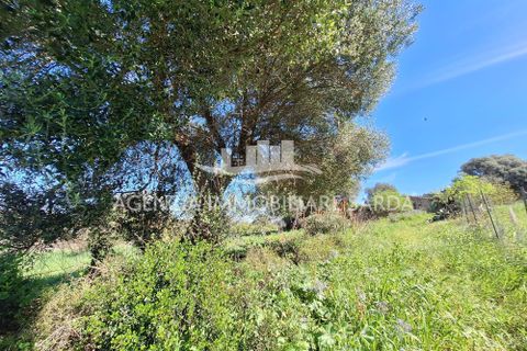 Villa i Alghero, Sassari, Alghero - € 180.000 | Ref: ALG105 - foto 23