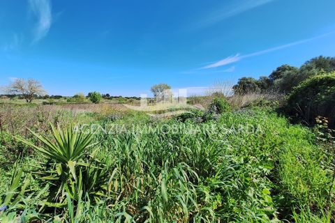 Villa i Alghero, Sassari, Alghero - € 180.000 | Ref: ALG105 - foto 25