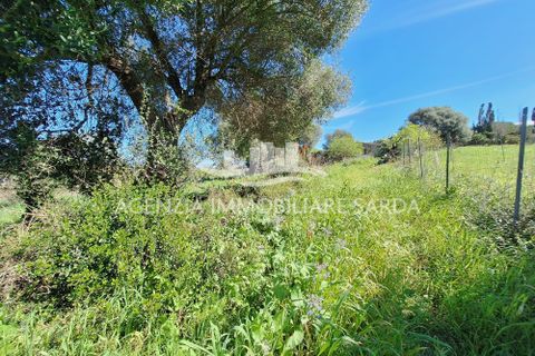 Villa i Alghero, Sassari, Alghero - € 180.000 | Ref: ALG105 - foto 28