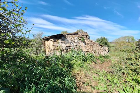 Villa i Alghero, Sassari, Alghero - € 180.000 | Ref: ALG105 - foto 29