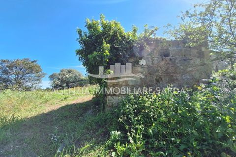 Villa i Alghero, Sassari, Alghero - € 180.000 | Ref: ALG105 - foto 31