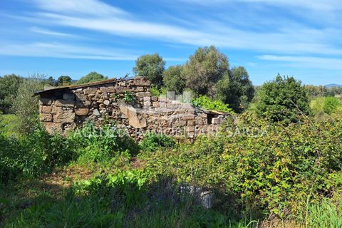 Villa i Alghero, Sassari, Alghero - € 180.000 | Ref: ALG105 - foto 33