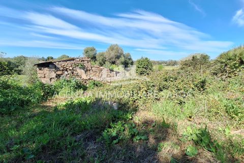 Villa i Alghero, Sassari, Alghero - € 180.000 | Ref: ALG105 - foto 34