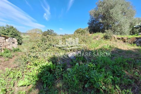 Villa i Alghero, Sassari, Alghero - € 180.000 | Ref: ALG105 - foto 35