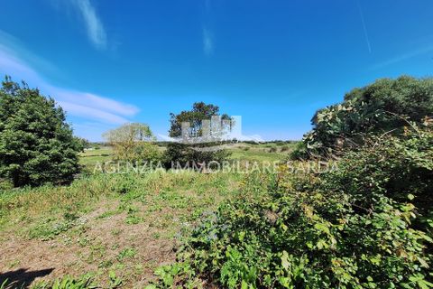Villa i Alghero, Sassari, Alghero - € 180.000 | Ref: ALG105 - foto 36