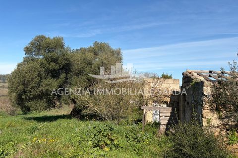 Villa i Alghero, Sassari, Alghero - € 180.000 | Ref: ALG105 - foto 38