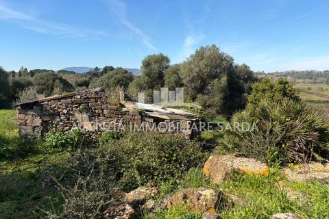 Villa i Alghero, Sassari, Alghero - € 180.000 | Ref: ALG105 - foto 39