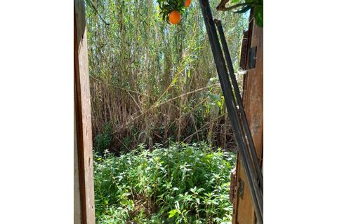 Byhus i Bencatel, Evora, Bencatel - € 118.000 | Ref: ALT004/040/2026 - foto 22