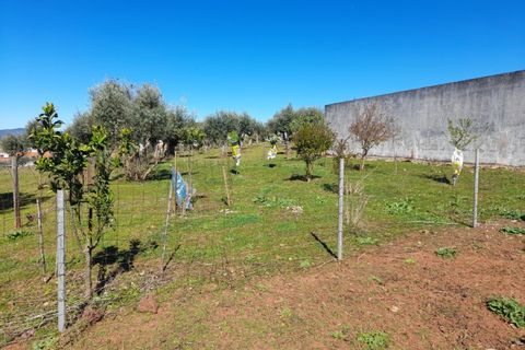 Helårsgrund i Alandroal, Evora, Alandroal - € 45.000 | Ref: ALT004/042/2026 - foto 3