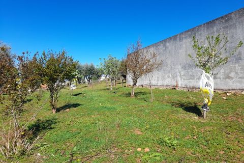Helårsgrund i Alandroal, Evora, Alandroal - € 45.000 | Ref: ALT004/042/2026 - foto 4