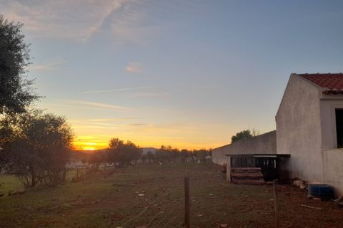 Helårsgrund i Alandroal, Evora, Alandroal - € 45.000 | Ref: ALT004/042/2026 - foto 5