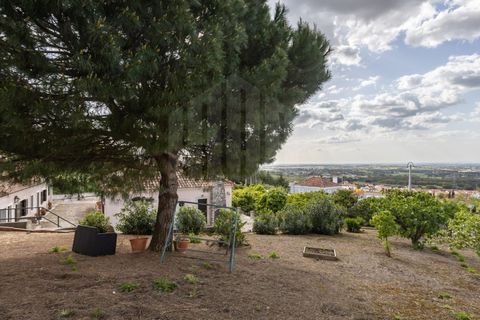 Villa i Palmela, Setubal, Palmela - € 595.000 | Ref: 10225 - foto 35