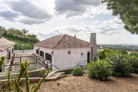 Villa i Palmela, Setubal, Palmela - € 595.000 | Ref: 10225 - foto 37