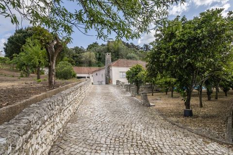 Villa i Palmela, Setubal, Palmela - € 595.000 | Ref: 10225 - foto 39