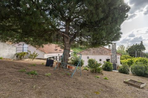 Villa i Palmela, Setubal, Palmela - € 595.000 | Ref: 10225 - foto 43