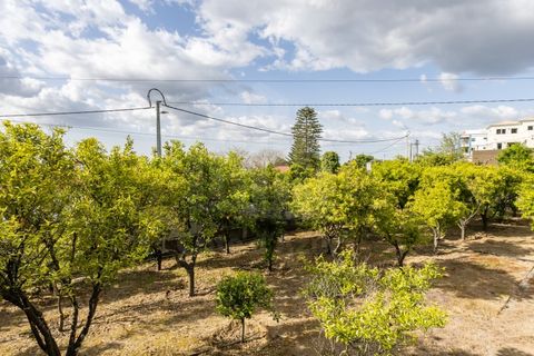 Villa i Palmela, Setubal, Palmela - € 595.000 | Ref: 10225 - foto 48