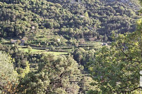 Helårsgrund i Peille, Alpes-Maritimes, Peille - € 405.000 | Ref: 38215 - foto 16