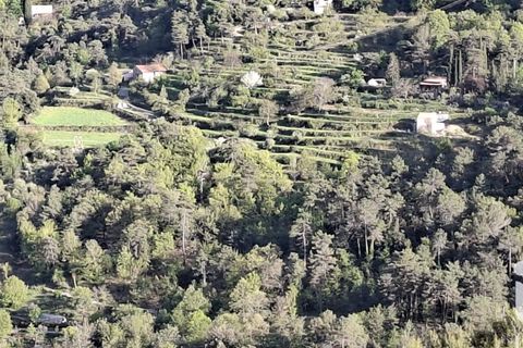 Helårsgrund i Peille, Alpes-Maritimes, Peille - € 405.000 | Ref: 38215 - foto 17