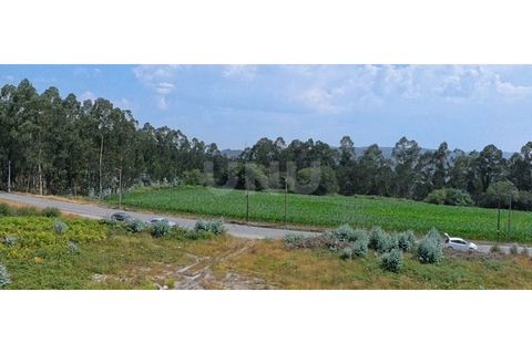 Helårsgrund i Trofa, Porto, Trofa - € 753.000 | Ref: UNU-F4-02-1_1 - foto 3