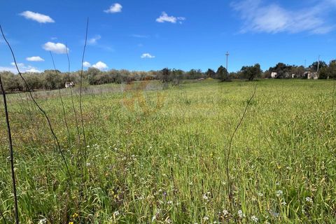 Helårsgrund i Sassari, Sassari, Sassari - € 25.000 | Ref: 13964 - foto 4