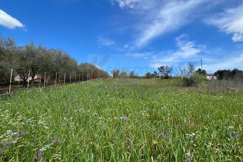 Helårsgrund i Sassari, Sassari, Sassari - € 25.000 | Ref: 13964 - foto 5