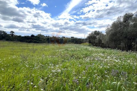Helårsgrund i Sassari, Sassari, Sassari - € 25.000 | Ref: 13964 - foto 7
