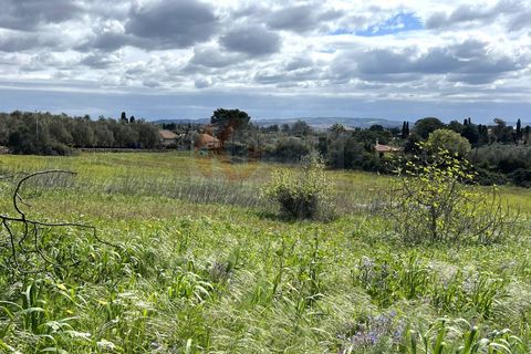 Helårsgrund i Sassari, Sassari, Sassari - € 25.000 | Ref: 13964 - foto 11