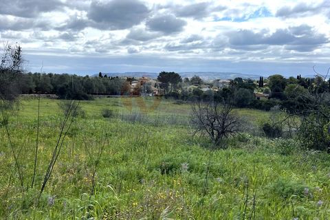 Helårsgrund i Sassari, Sassari, Sassari - € 25.000 | Ref: 13964 - foto 12