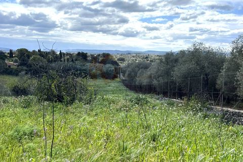 Helårsgrund i Sassari, Sassari, Sassari - € 25.000 | Ref: 13964 - foto 13