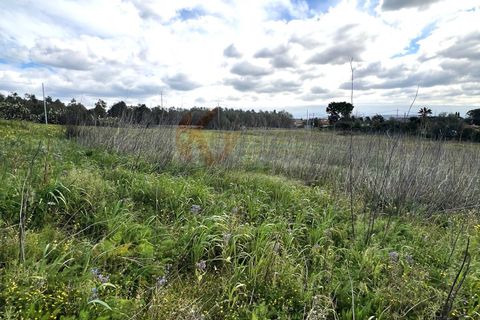 Helårsgrund i Sassari, Sassari, Sassari - € 25.000 | Ref: 13964 - foto 14
