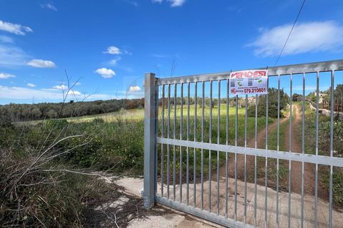 Helårsgrund i Sassari, Sassari, Sassari - € 25.000 | Ref: 13964 - foto 15