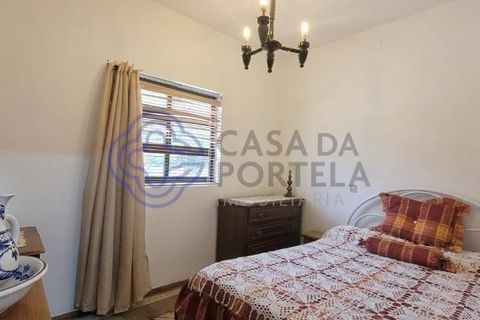 Stadthaus in Murca, Vila Real, Murca - € 52.500 | Ref: 1126191 - Foto 9