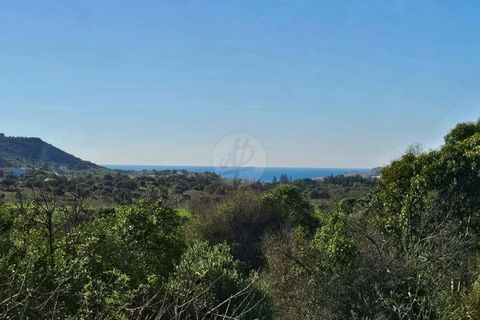 Farm hus i Luz, Faro, Luz - € 1.630.000 | Ref: V938LG - foto 3