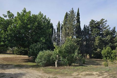 Farm hus i Luz, Faro, Luz - € 1.630.000 | Ref: V938LG - foto 13