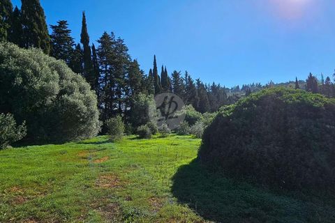 Farm hus i Luz, Faro, Luz - € 1.630.000 | Ref: V938LG - foto 15