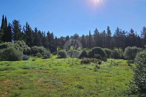 Farm hus i Luz, Faro, Luz - € 1.630.000 | Ref: V938LG - foto 16