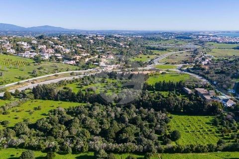Farm hus i Luz, Faro, Luz - € 1.630.000 | Ref: V938LG - foto 18