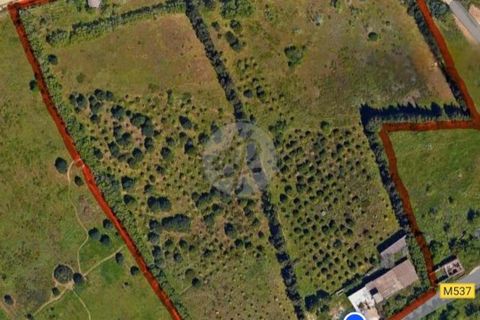 Farm hus i Luz, Faro, Luz - € 1.630.000 | Ref: V938LG - foto 19