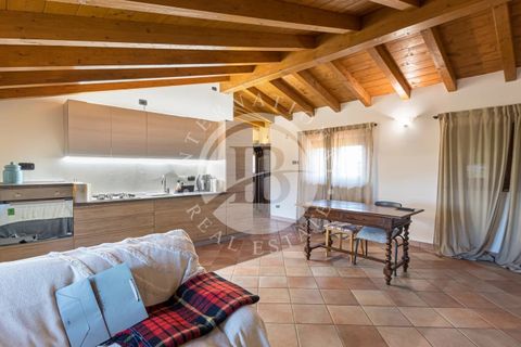 Villa a Settala, Milan, Settala - € 1.600.000 | Ref: IB 807 - foto 14