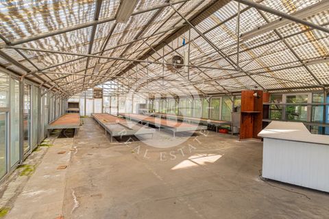 Villa a Settala, Milan, Settala - € 1.600.000 | Ref: IB 807 - foto 26