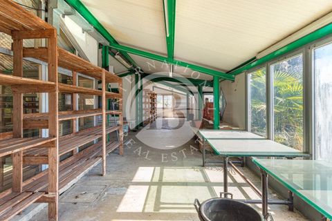 Villa a Settala, Milan, Settala - € 1.600.000 | Ref: IB 807 - foto 27