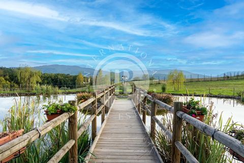 Landejendom i Vicchio, Florence, Vicchio - € 3.500.000 | Ref: IB 808 - foto 7
