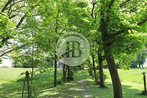 Villa a Collecchio, Parma, Collecchio - € 990.000 | Ref: CB 6 - foto 23