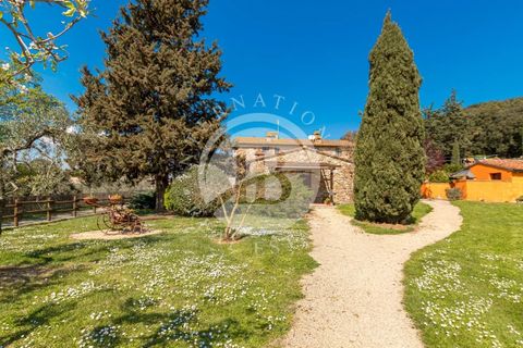 Landejendom i Capraia e Limite, Florence, Capraia e Limite - € 2.700.000 | Ref: IB 810 - foto 26