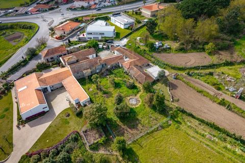 Farm i Lordelo, Braga, Lordelo - € 390.000 | Ref: CM-059 - foto 8