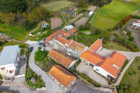 Farm i Lordelo, Braga, Lordelo - € 390.000 | Ref: CM-059 - foto 10