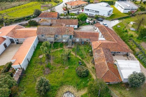 Farm i Lordelo, Braga, Lordelo - € 390.000 | Ref: CM-059 - foto 12