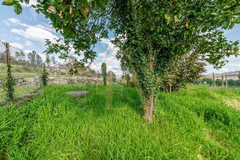 Farm i Lordelo, Braga, Lordelo - € 390.000 | Ref: CM-059 - foto 30